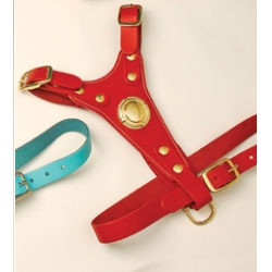 Bull Terrier Harness 31" Max Red British by Design